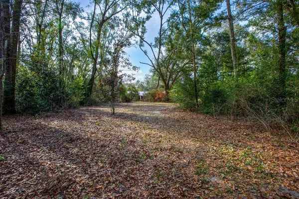 $300,000 | 103 Northeast Suwannee River Drive, Mayo, FL 32066