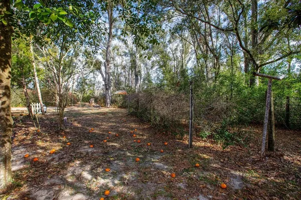 $300,000 | 103 Northeast Suwannee River Drive, Mayo, FL 32066