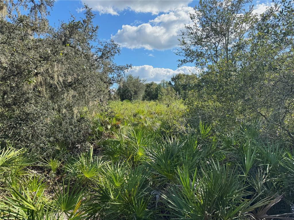 0 Alturas Babson Park Cut-Off Road Lake Wales, FL 33859 - Photo 7 of 22 a view of a green field