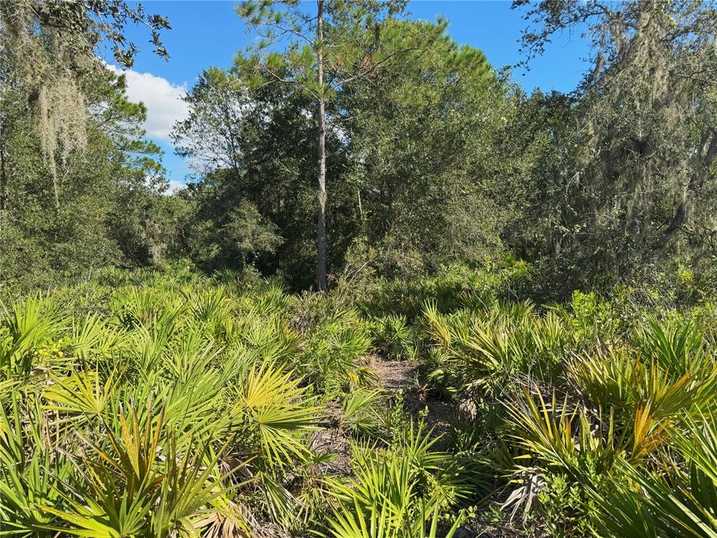 0 Alturas Babson Park Cut-Off Road Lake Wales, FL 33859 - Photo 9 of 22 an aerial view of residential house with green space