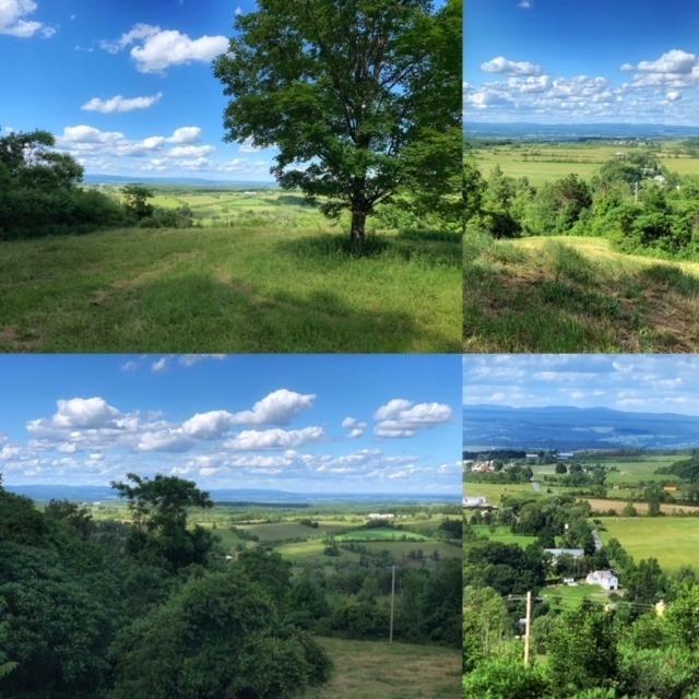 585 Salt Springville Road Cherry Valley, NY 13320 - Photo 1 of 1 Collage of property, 585 Salt Springville Road