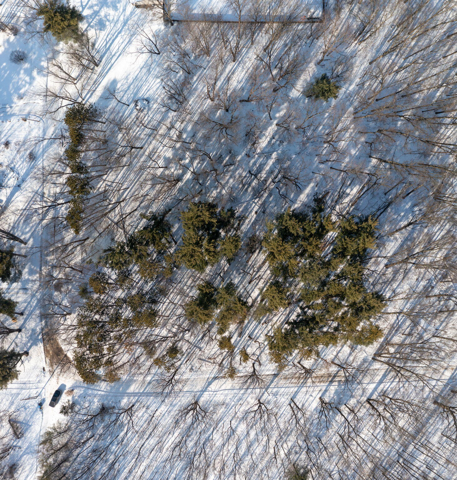 22160 Country Trace Edwardsburg, MI 49112 - Photo 3 of 14 22160 Country Tr-14