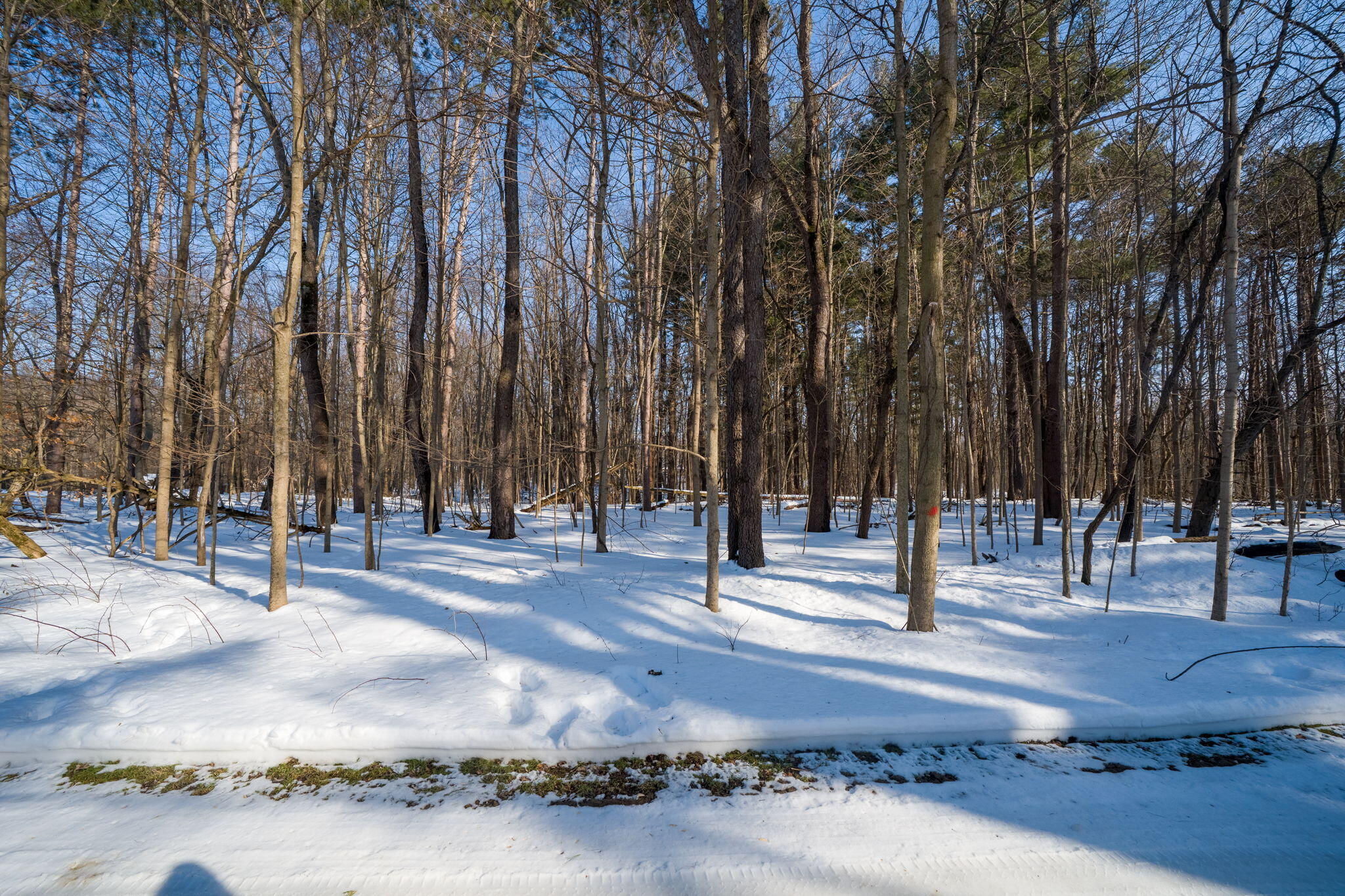 22160 Country Trace Edwardsburg, MI 49112 - Photo 4 of 14 22160 Country Tr-2