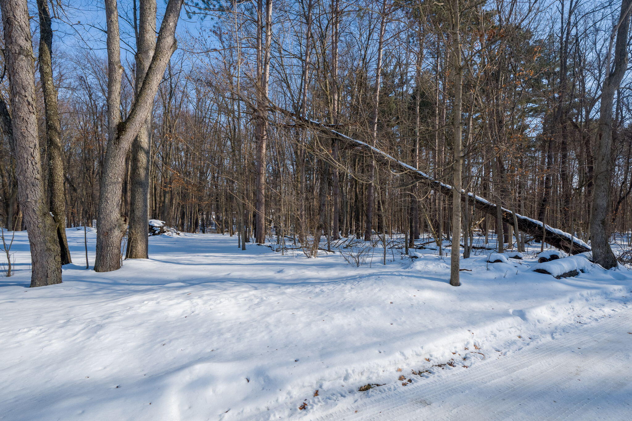 22160 Country Trace Edwardsburg, MI 49112 - Photo 5 of 14 22160 Country Tr-1