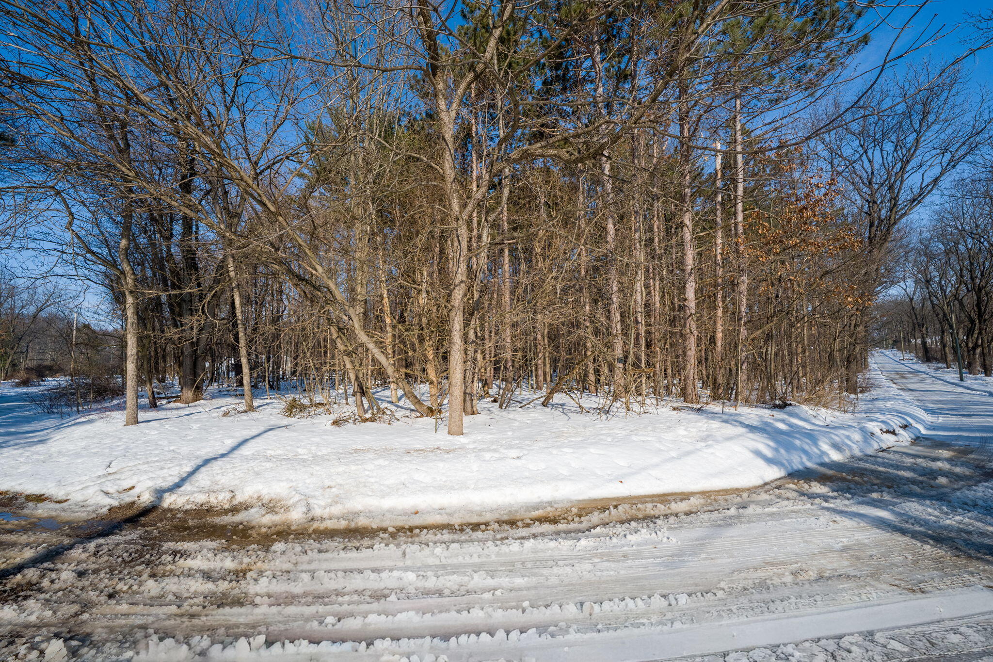 22160 Country Trace Edwardsburg, MI 49112 - Photo 6 of 14 22160 Country Tr-3