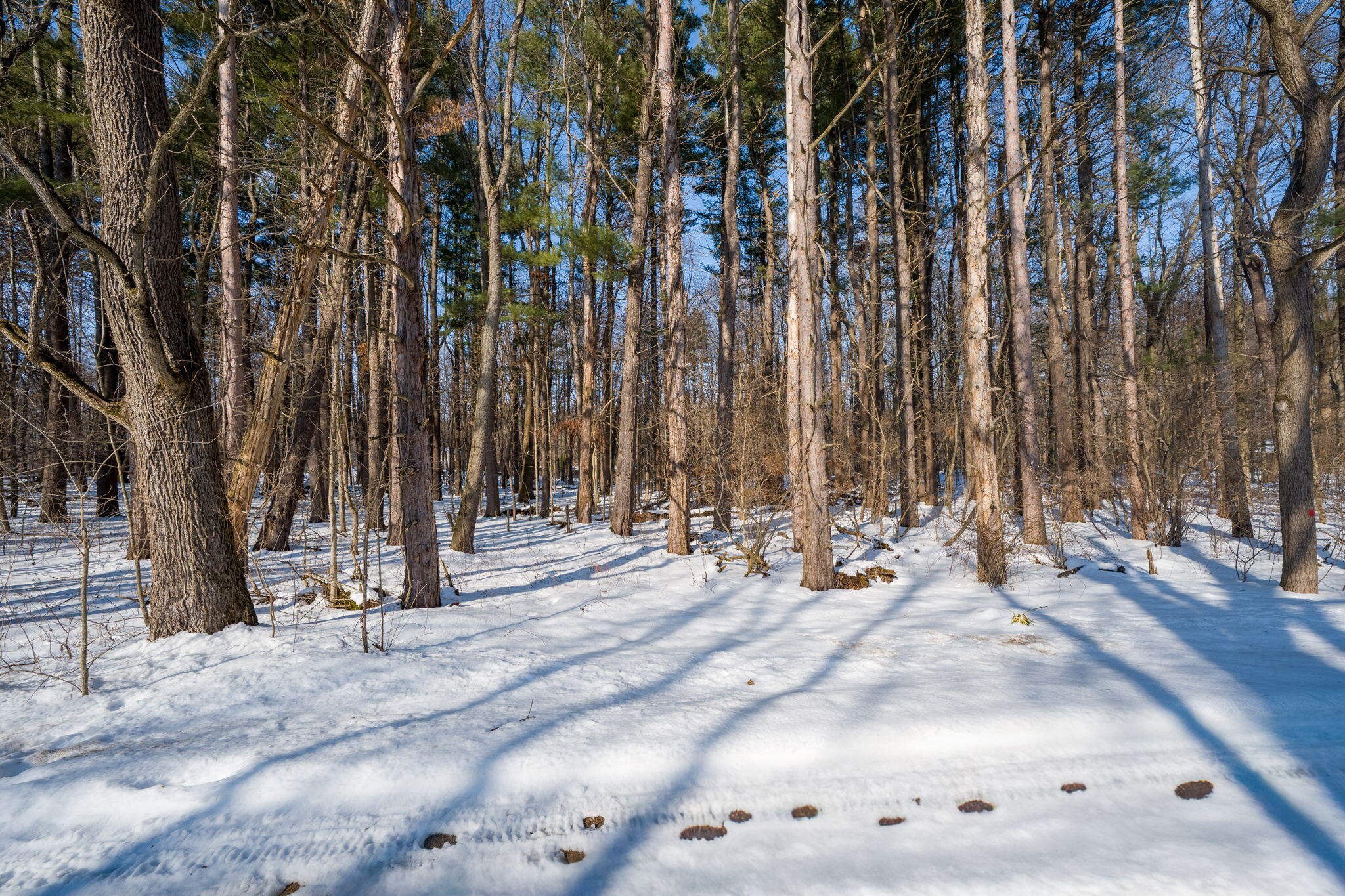 22160 Country Trace Edwardsburg, MI 49112 - Photo 8 of 14 22160 Country Tr-5