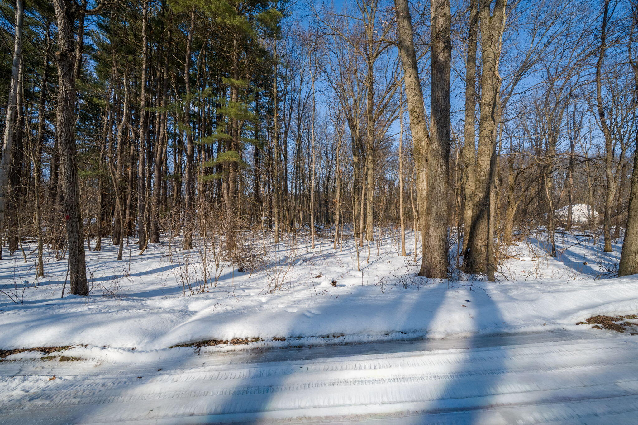 22160 Country Trace Edwardsburg, MI 49112 - Photo 9 of 14 22160 Country Tr-6