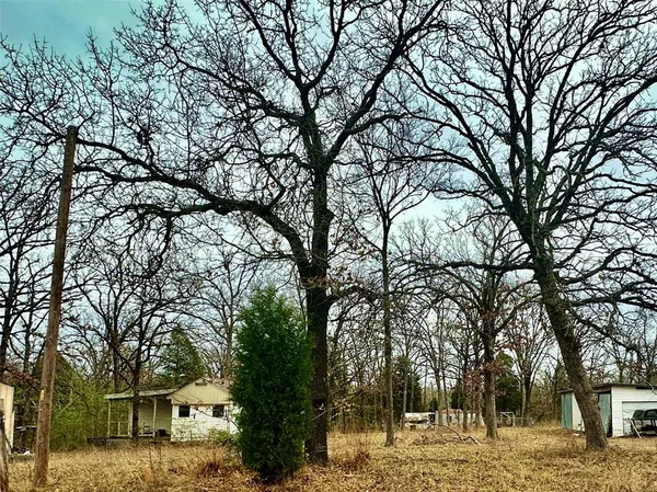 $14,000 | 14543 San Jacinto Drive, Log Cabin, TX 75148