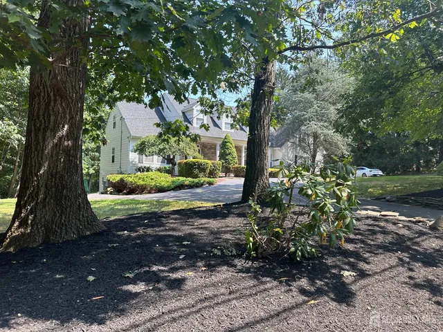 a view of a yard with plants