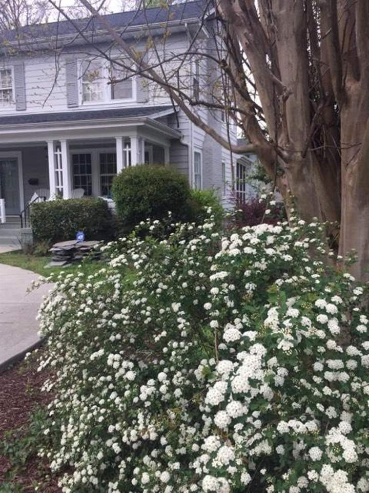 2302 Fairview Road Raleigh, NC 27608 - Photo 23 of 25 Photo 23