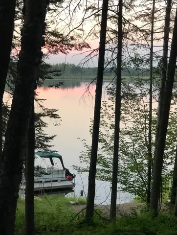 $230,000 | 43826 Nature Avenue, Palisade, MN 56469