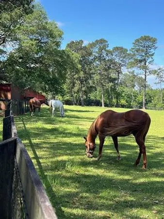 $465,000 | 13029 Bessie Booth Road, Folsom, LA 70437