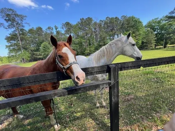 $465,000 | 13029 Bessie Booth Road, Folsom, LA 70437