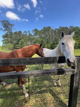 $465,000 | 13029 Bessie Booth Road, Folsom, LA 70437