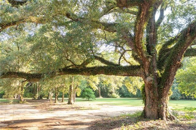 13029 Bessie Booth Road Folsom, LA 70437 - Photo 6 of 33