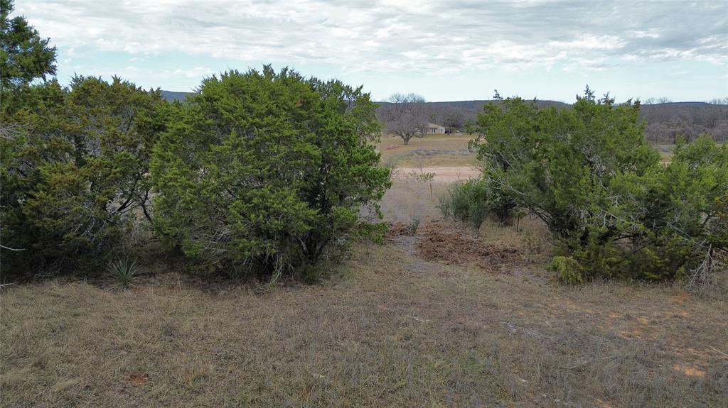 Lot 135 River Canyon Road Palo Pinto, TX 76484 - Photo 4 of 17 a view of a forest with trees in the background