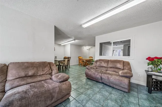 a living room with furniture a couch and a potted plant