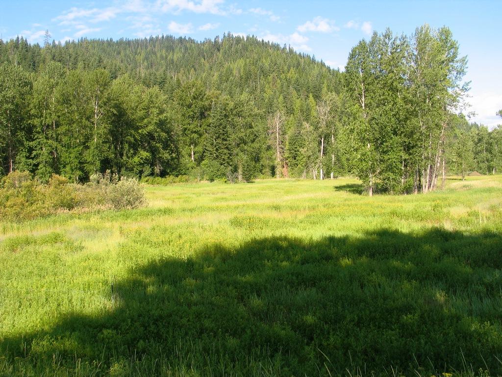 5-mm 5-mm Coeur D' Alene River Road Kingston, ID 83839 - Photo 1 of 1 Tract B Cda River Rd.