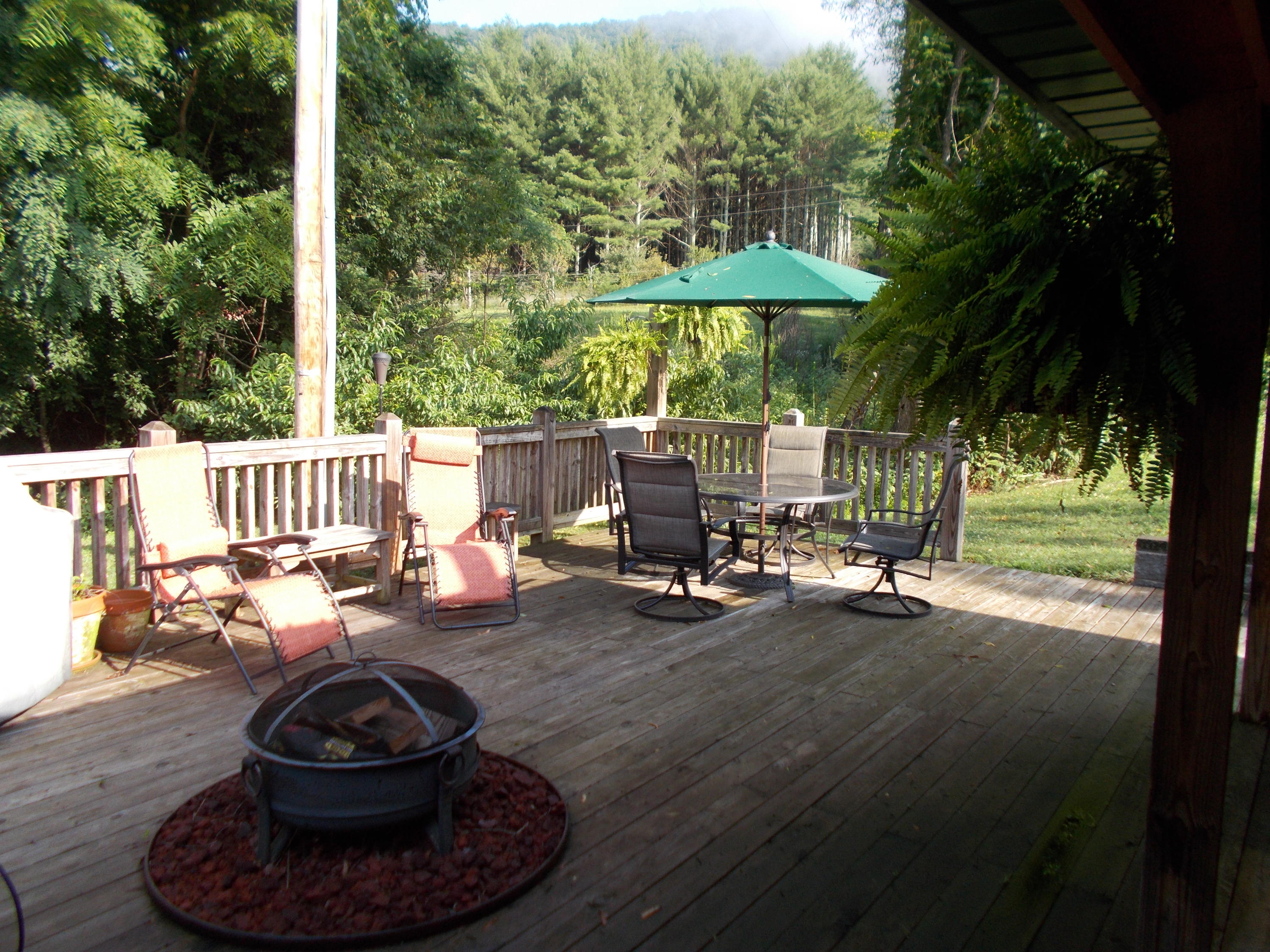 3741 Flatwoods Road Elliston, VA 24087 - Photo 9 of 51 a view of a patio with table and chairs potted plants and a palm tree
