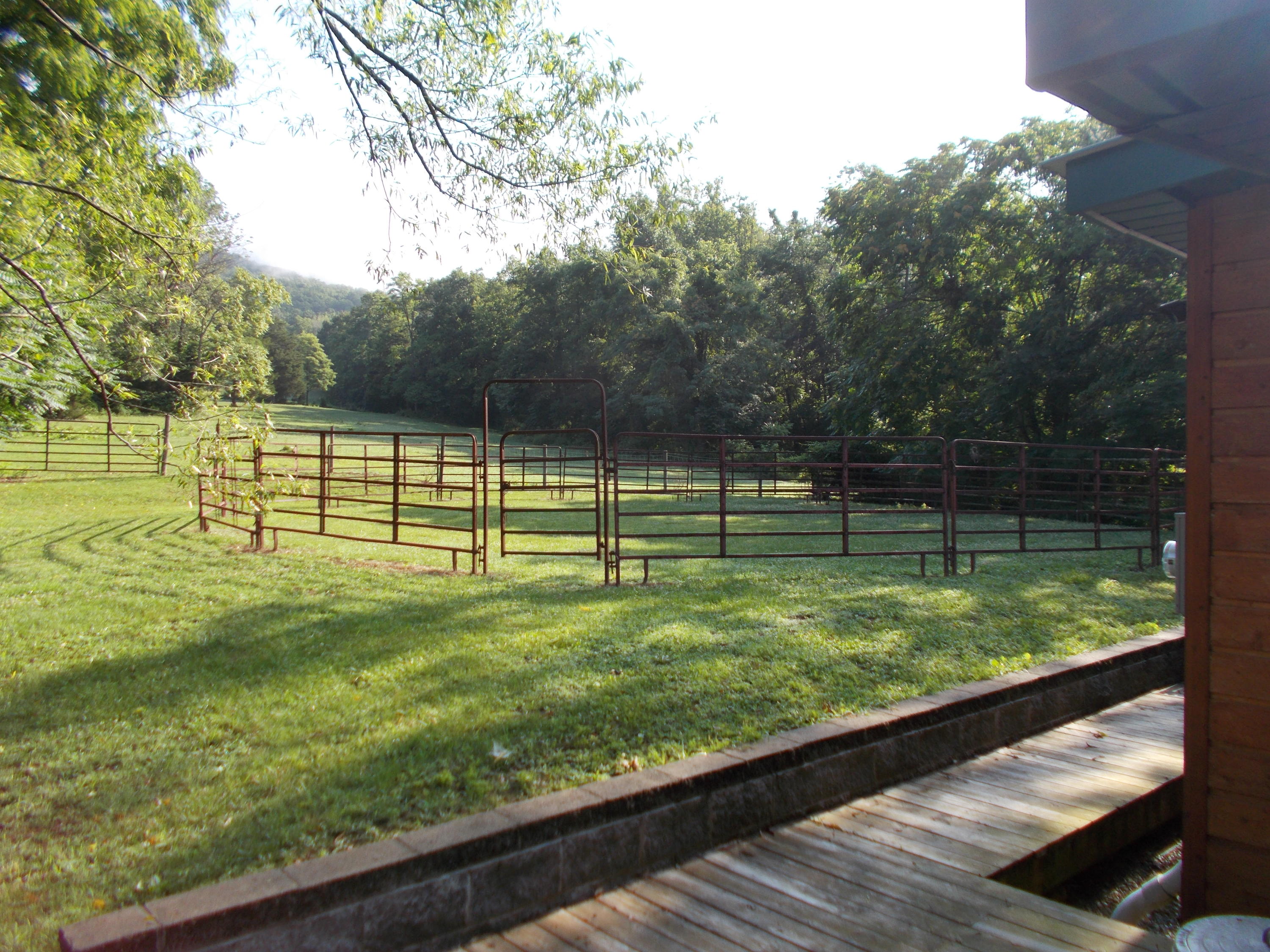 3741 Flatwoods Road Elliston, VA 24087 - Photo 10 of 51 a view of a park with large trees