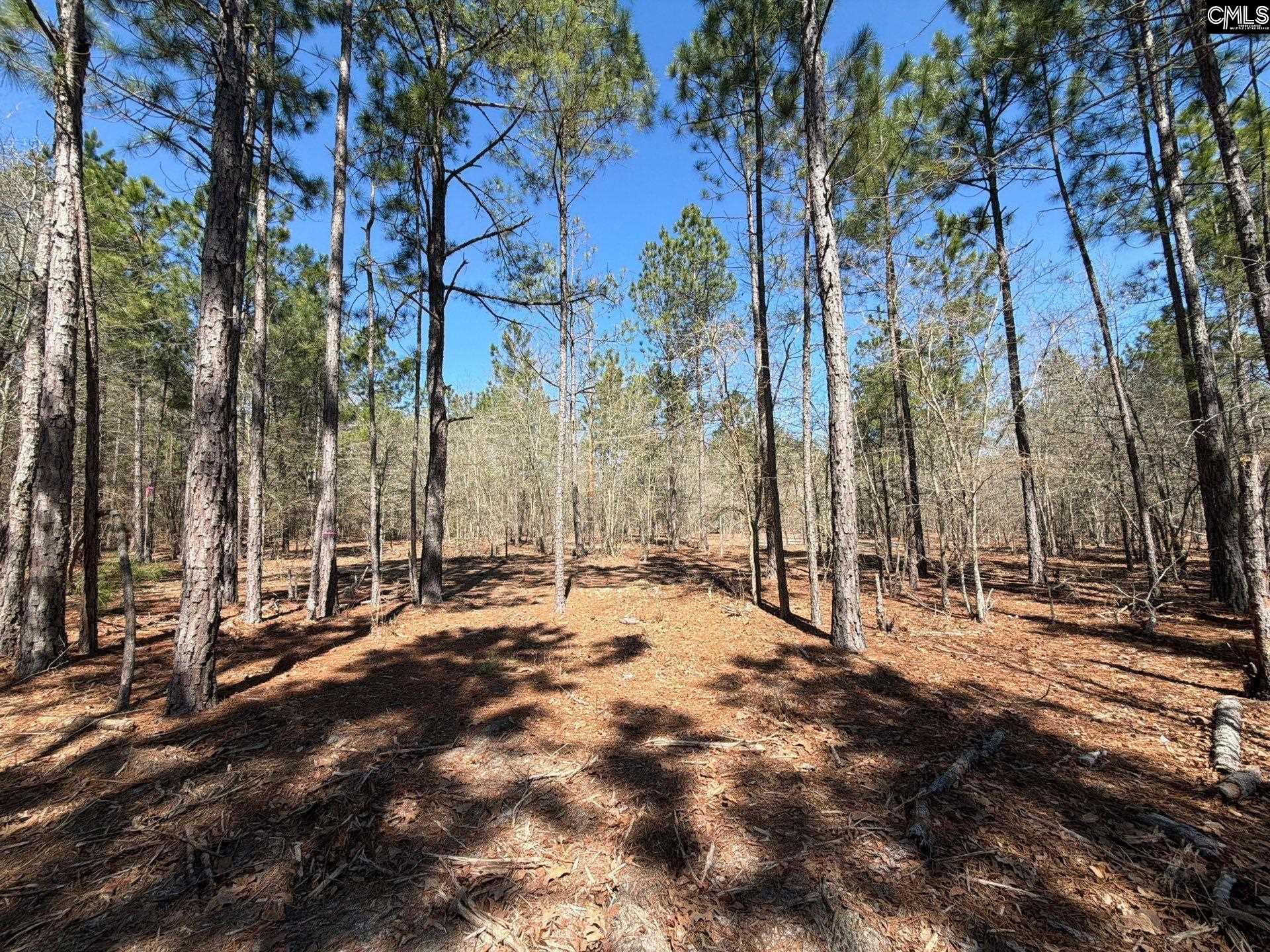 13 Boise Cascade Road, Unit BHL 13 Bethune, SC 29009 - Photo 10 of 31