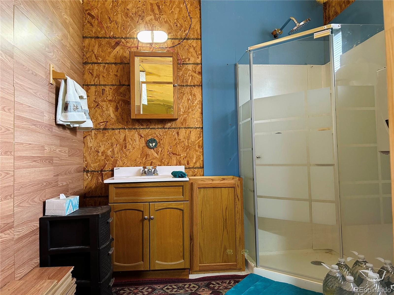 4535 Sarnoff Road Fort Garland, CO 81133 - Photo 16 of 44 a bathroom with a sink a mirror and shower