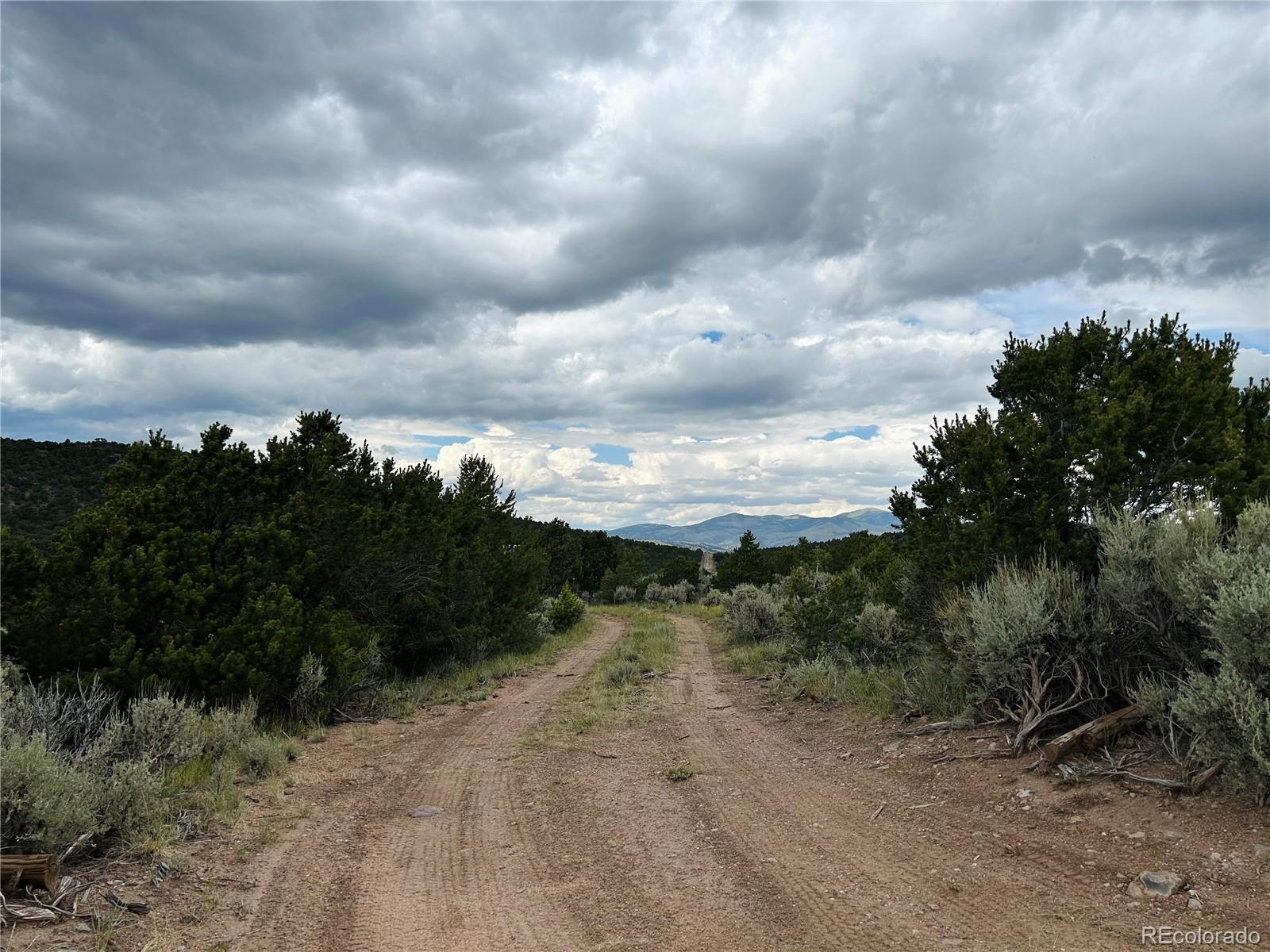 4535 Sarnoff Road Fort Garland, CO 81133 - Photo 29 of 44 a view of a pathway both side of yard