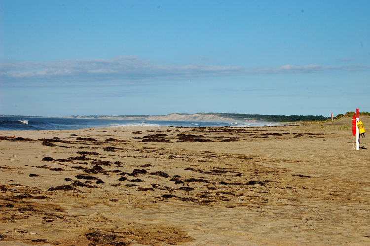 0 Black Point Road Chilmark, MA 02535 - Photo 3 of 3 Gallery Image 3