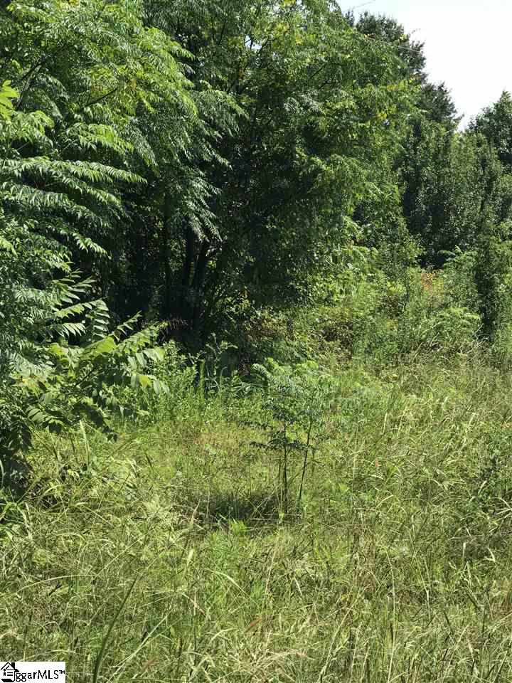 310 State Rd S-42-776 Inman, SC 29349 - Photo 1 of 4