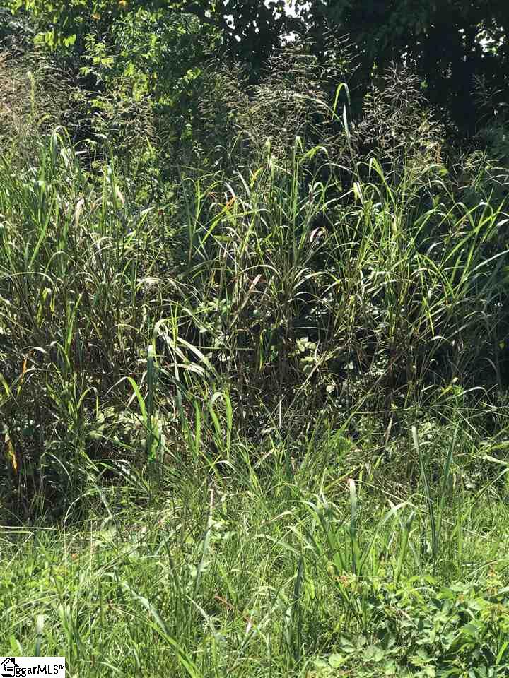 310 State Rd S-42-776 Inman, SC 29349 - Photo 3 of 4