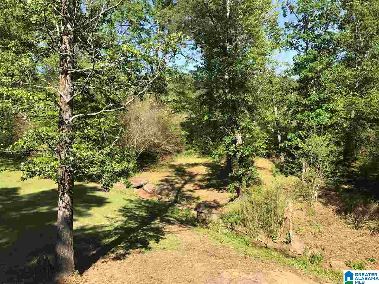 3898 Mud Creek Road Adger, AL 35006 - Photo 18 of 21 Gallery Image 18