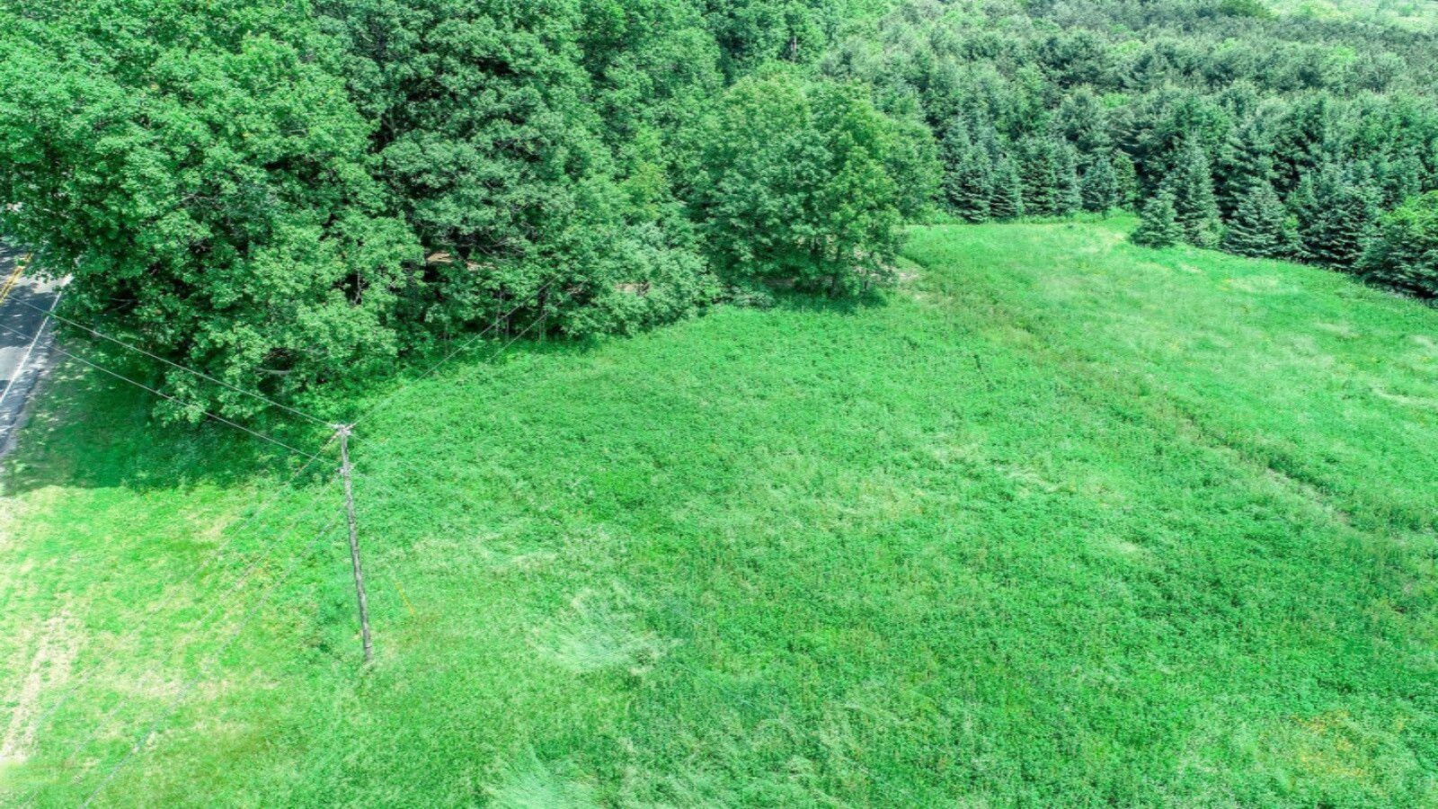 DJI_0065_preview