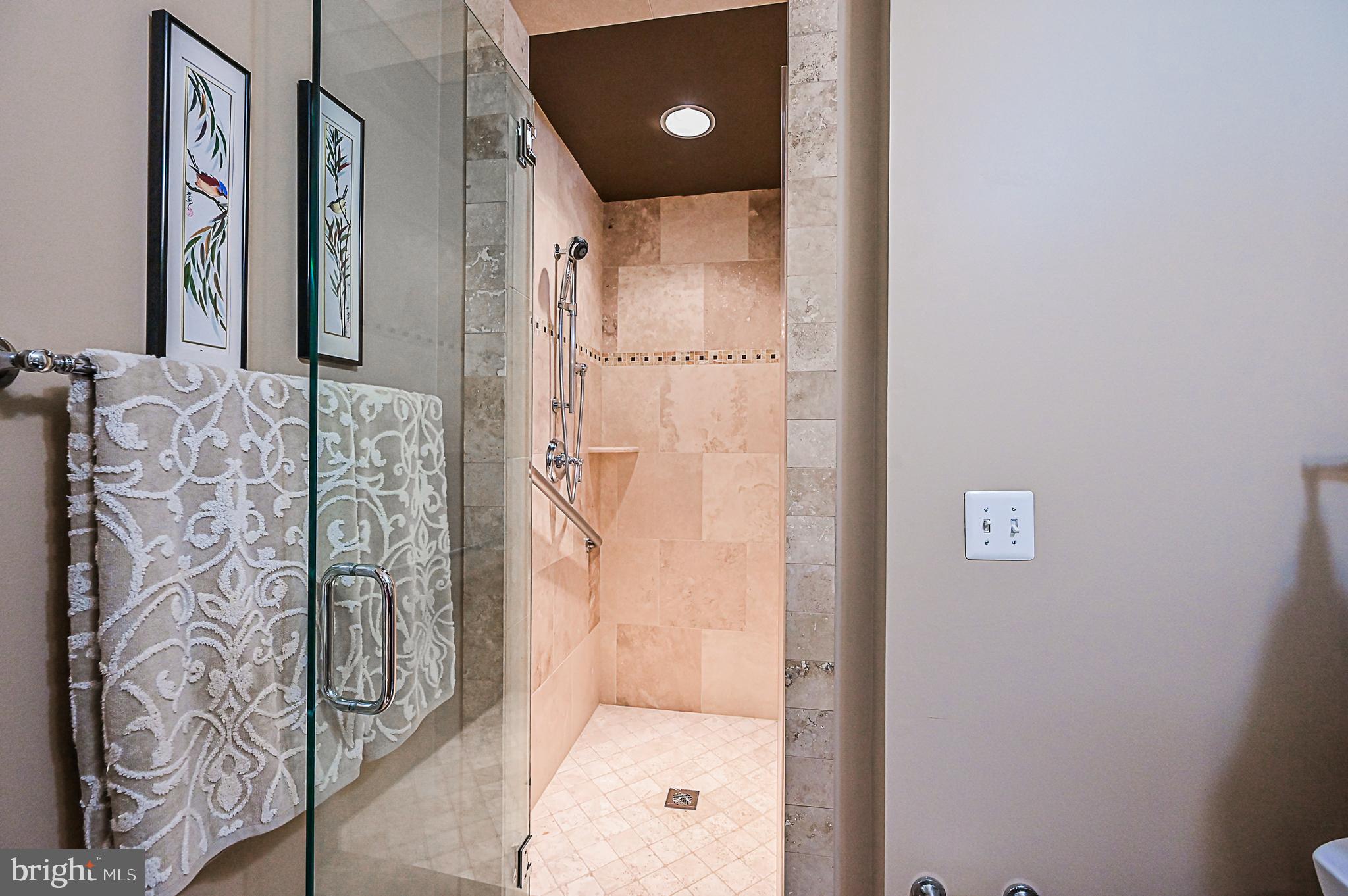 10600 Hunters Valley Road Vienna, VA 22181 - Photo 31 of 50 Walk-in Shower w/ Glass Door and Listello Tilework