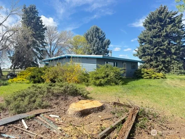 a view of a backyard with plants and lake