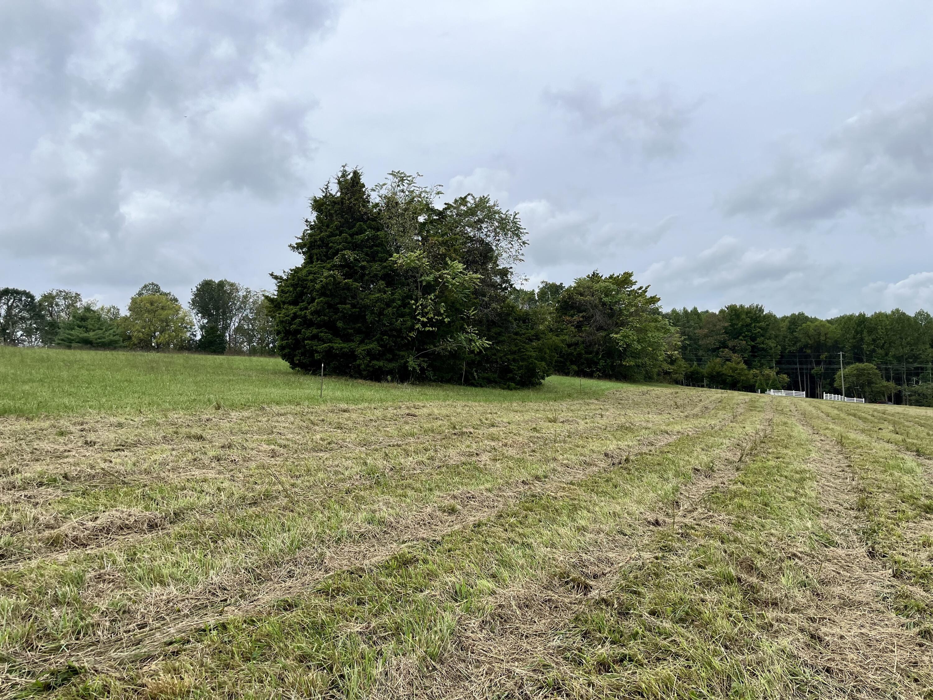 Lot 5 Smith Ridge Road Eubank, KY 42567 - Photo 23 of 24 IMG_4436 2