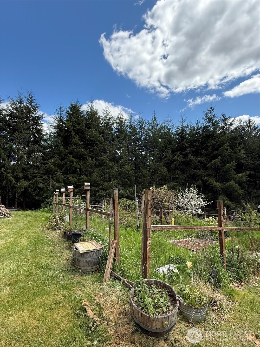 68 Urych Road Raymond, WA 98577 - Photo 11 of 33 Gallery Image 11