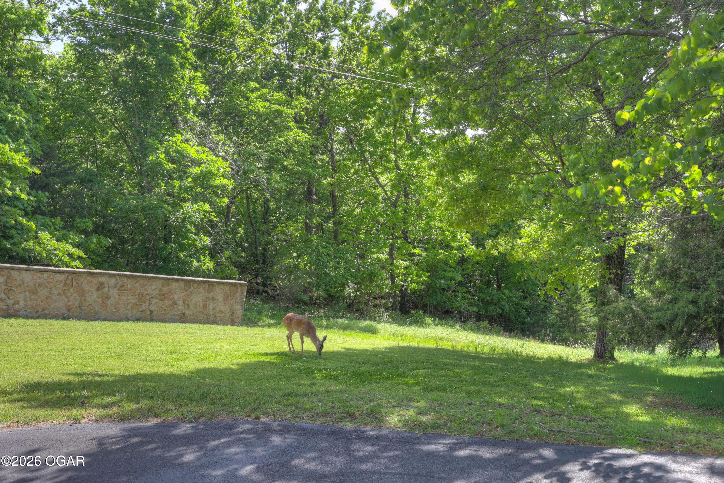 3 Ridgewood Court Joplin, MO 64804 - Photo 53 of 56 Gallery Image 53
