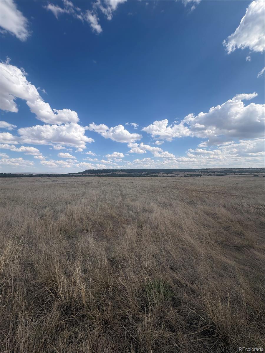 Lot 454 Sherry Court Rye, CO 81069 - Photo 4 of 13 Gallery Image 4