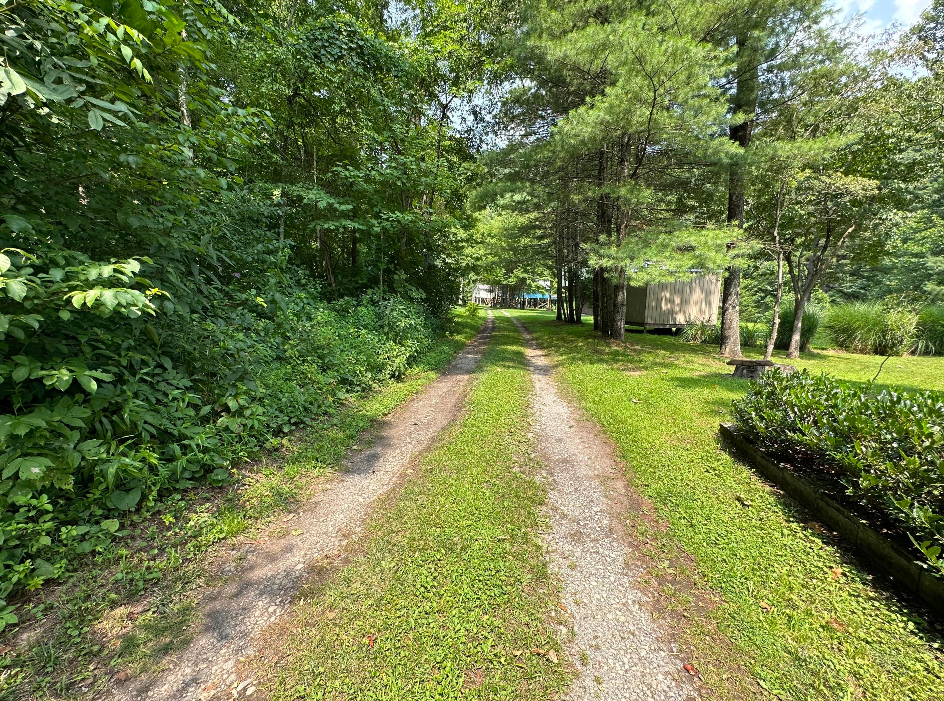 3981 Coleman Cliff Road Frankford, WV 24938 - Photo 56 of 66 3981 Coleman Cliff Rd