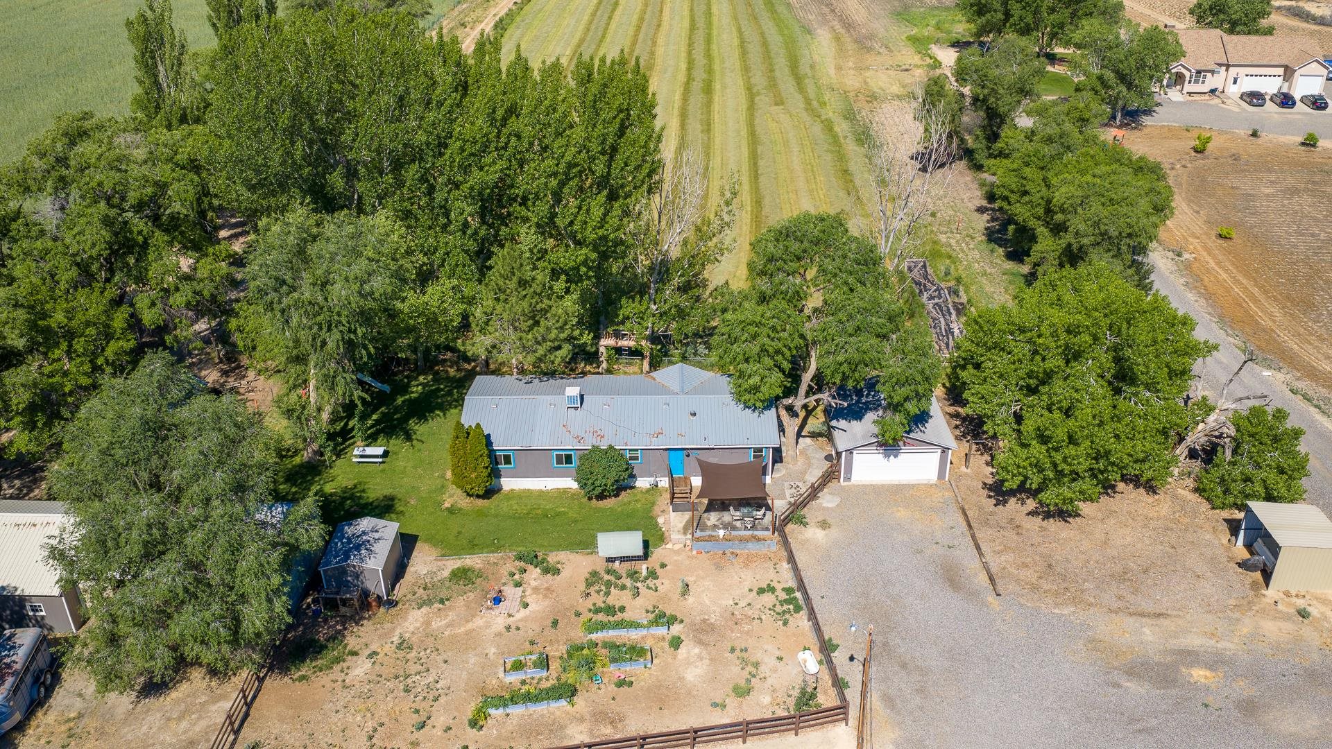 1221-17 17 1/2 Road Fruita, CO 81521 - Photo 28 of 36