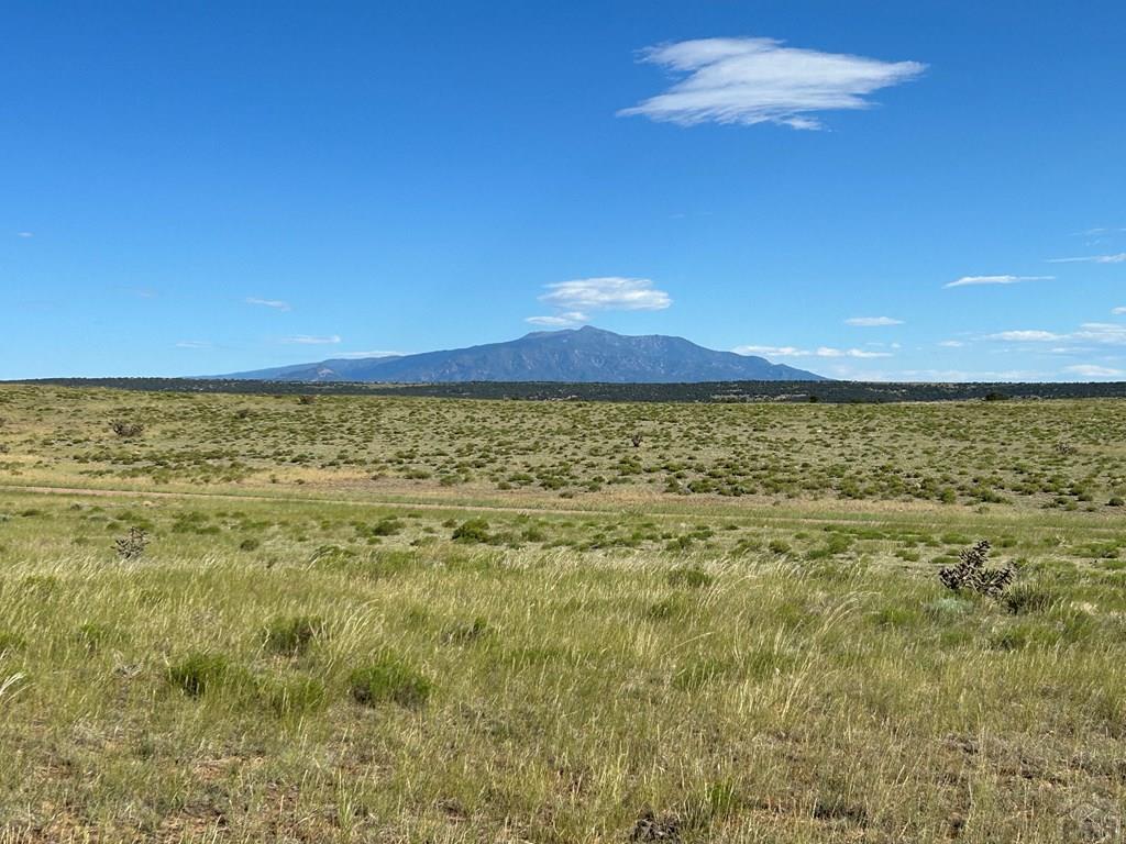Lot 46 River Ridge Trail La Veta, CO 81055 - Photo 11 of 18