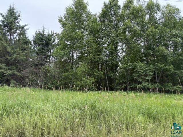 Xx Xx Homestead Road Cromwell, MN 55726 - Photo 1 of 6