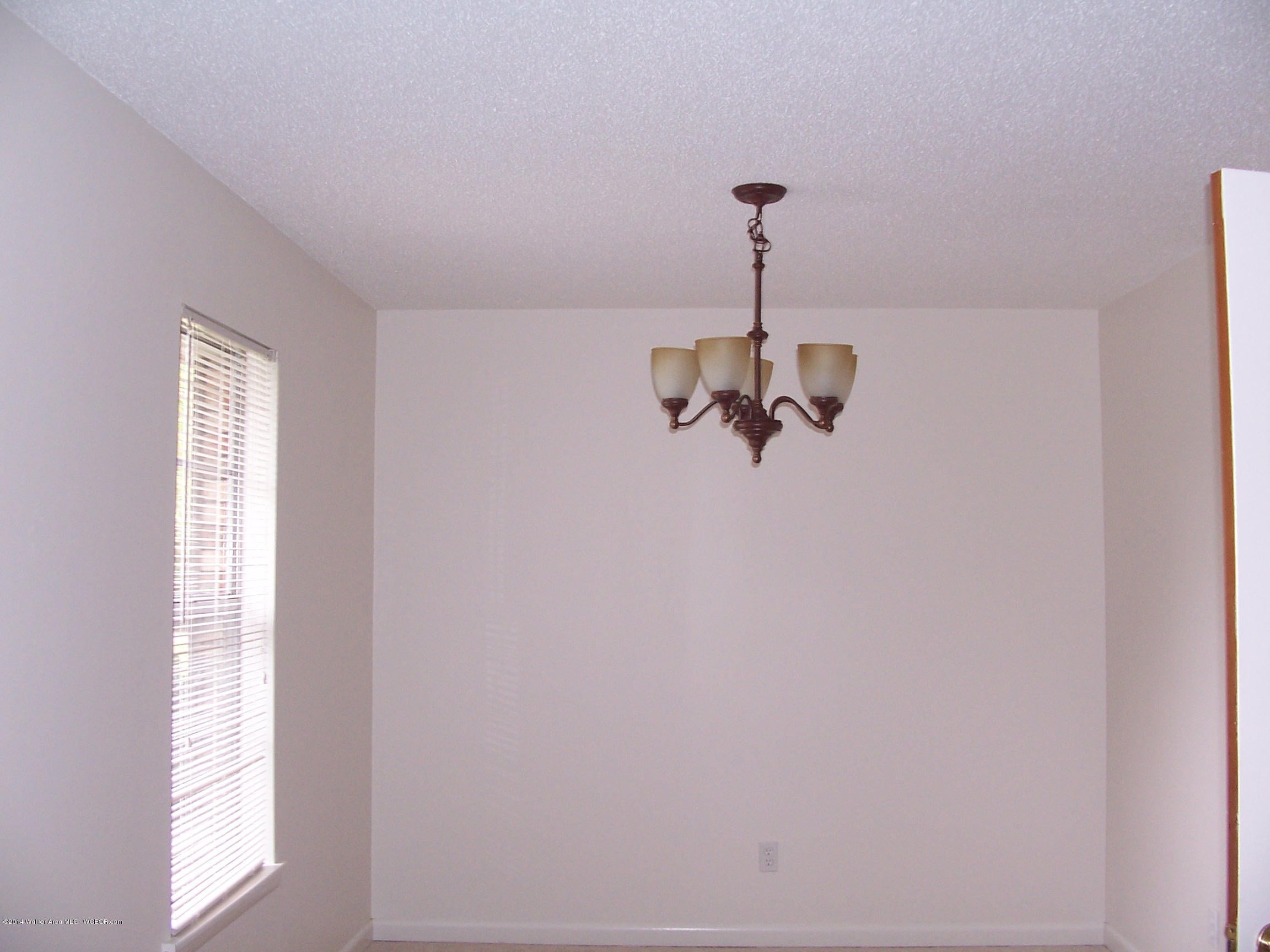 983 Moon Jasper, AL 35501 - Photo 3 of 12 Gallery Image 3