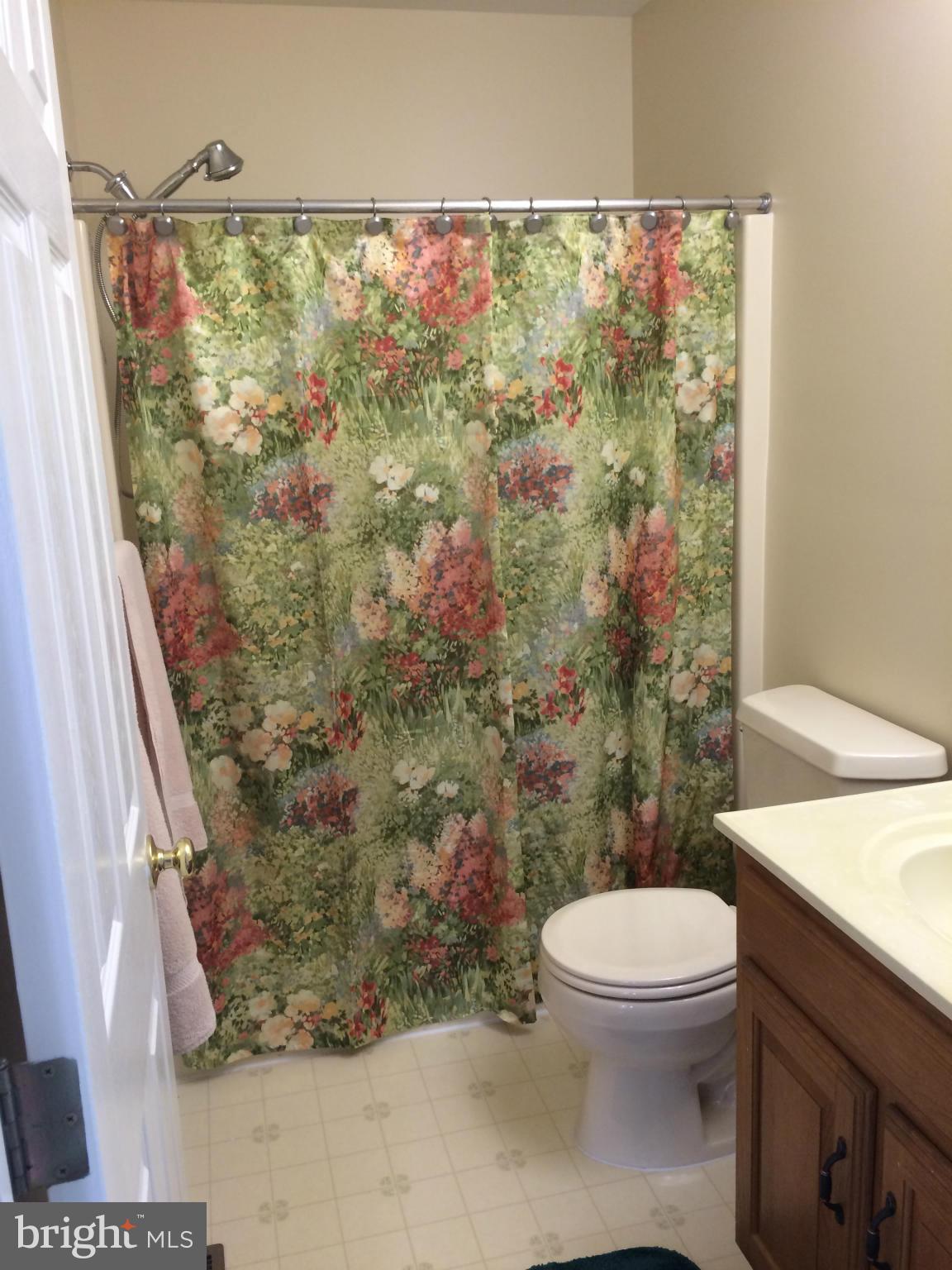 4635 Newington Road Jefferson, MD 21755 - Photo 22 of 30 Hall Bath