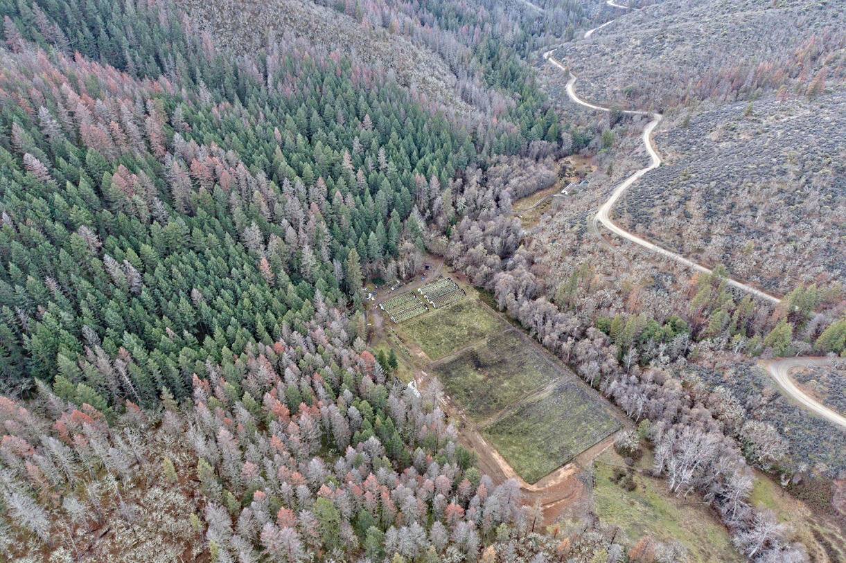 9400 Little Applegate Road Jacksonville, OR 97530 - Photo 19 of 22 18