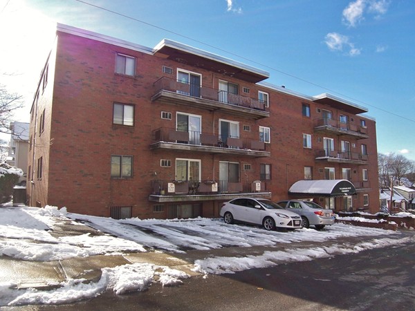 6 Hayes Road, Unit 2A Boston, MA 02131 - Photo 9 of 9 Gallery Image 9