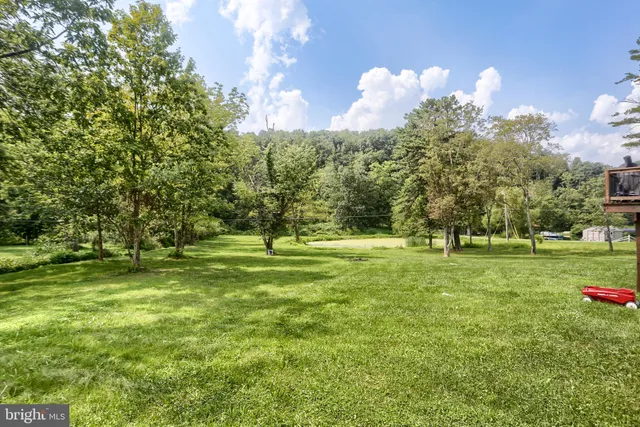 a view of a park with large trees