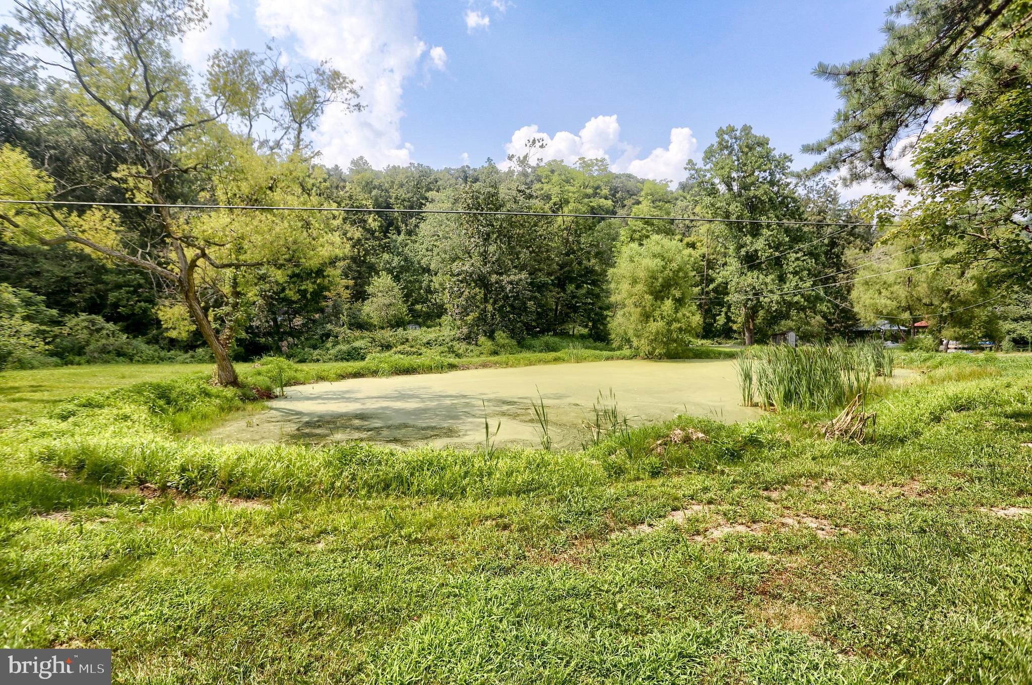4118 Buckwheat Road Millerstown, PA 17062 - Photo 8 of 26 a view of yard with green space
