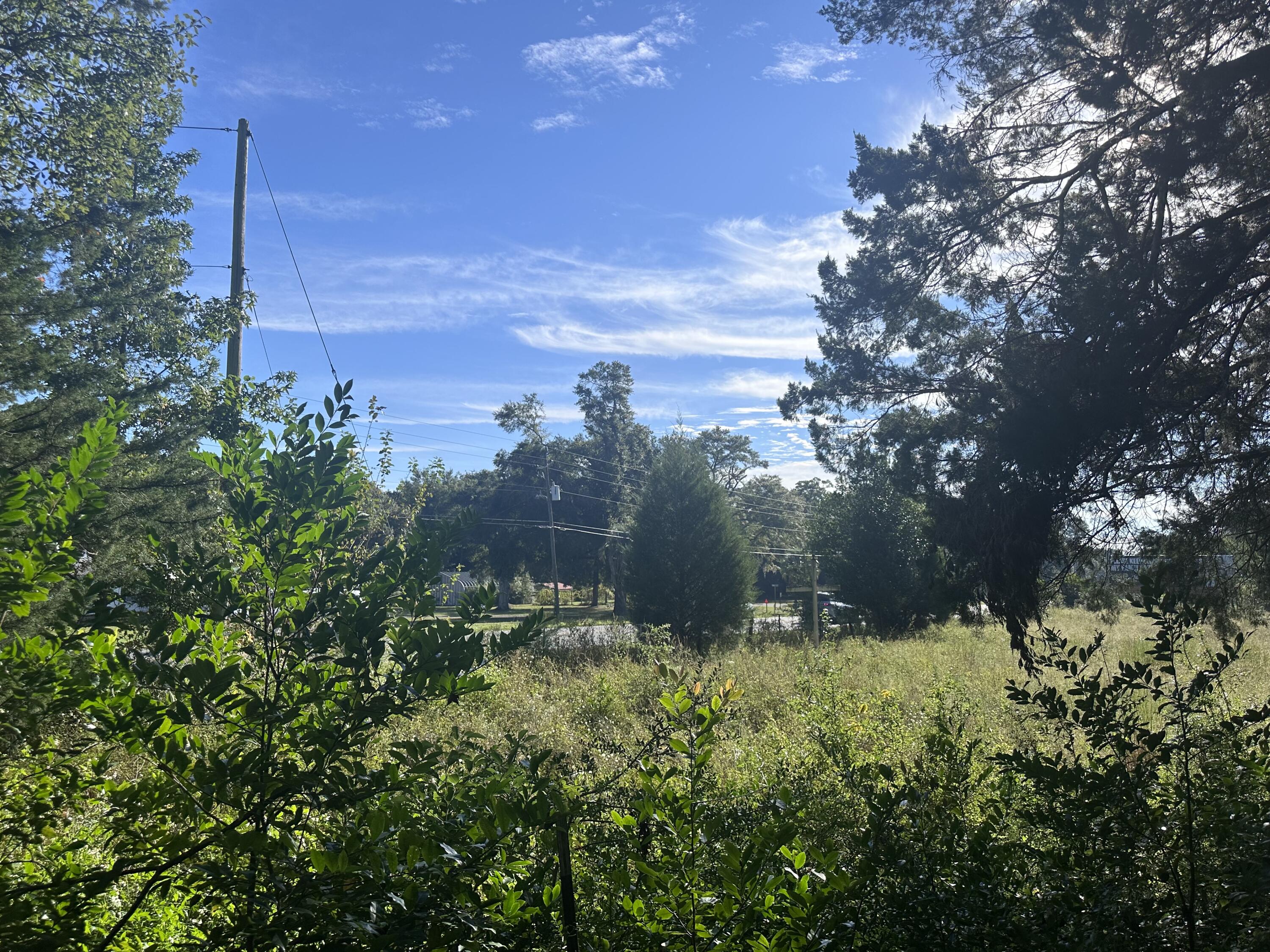 1816 Wadsworth Road Baker, FL 32531 - Photo 2 of 7 a view of a tree with a house in the background