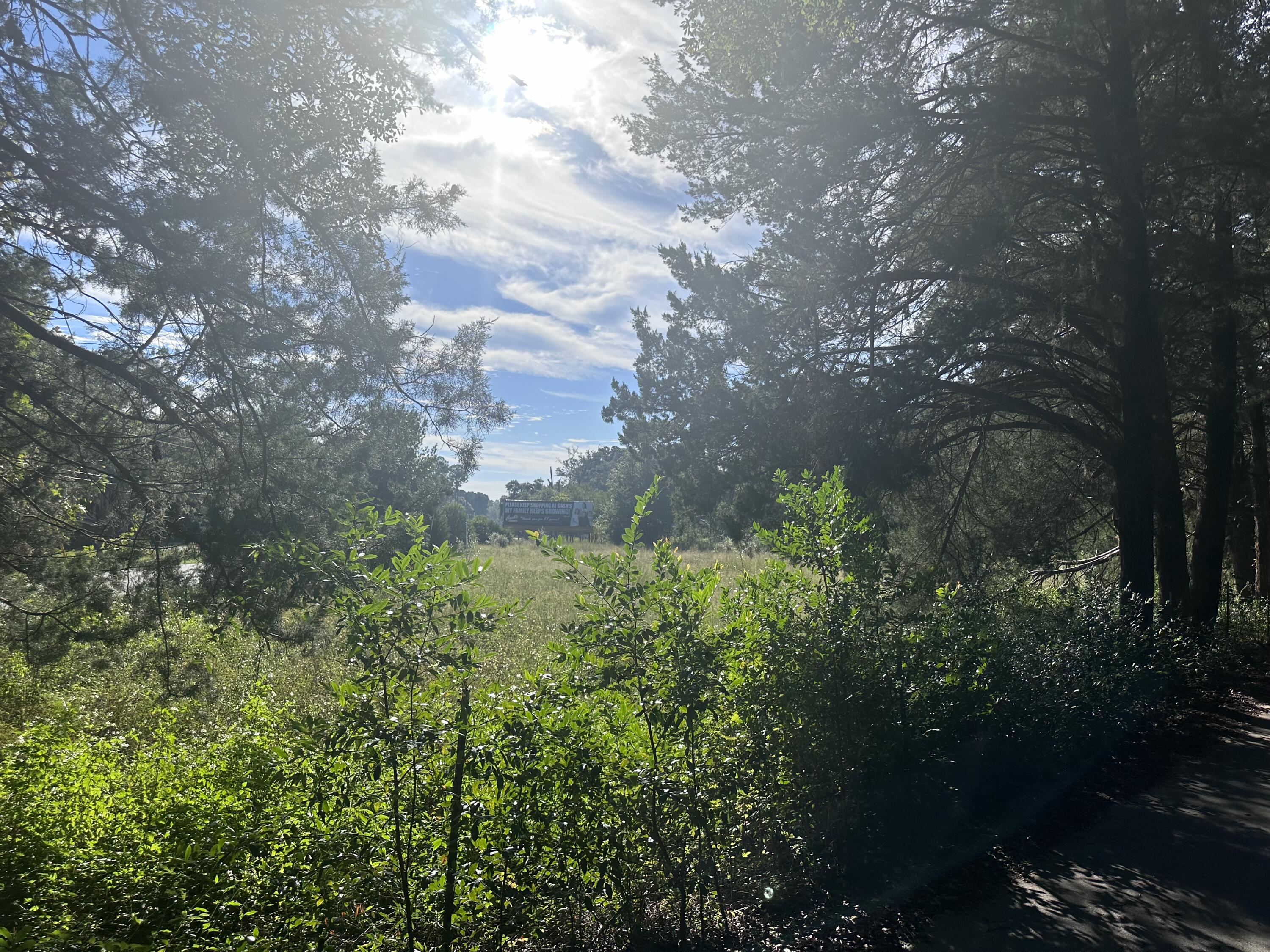 1816 Wadsworth Road Baker, FL 32531 - Photo 3 of 7 a backyard of a house with lots of green space and garden